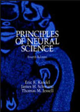 Kandel E. R. & Schwartz J. H. Principle of neural science. 2000 Elsevier d. 